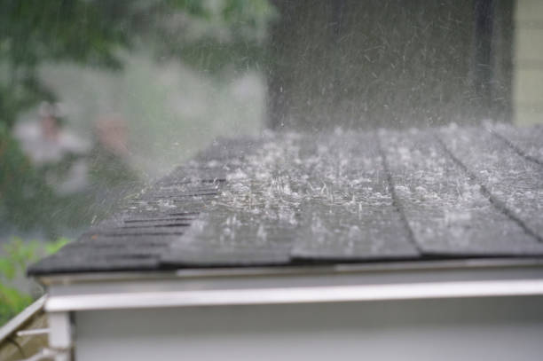 Reliable Palestine, TX Roofing Service Solutions